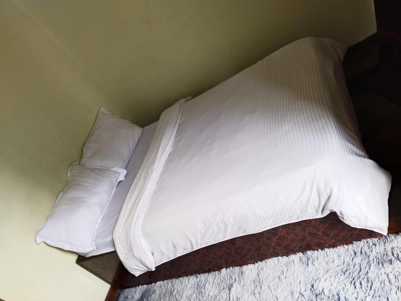 Kathmandu Airport View Hotel And Lodge Екстериор снимка